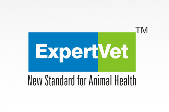 Expert Vet
